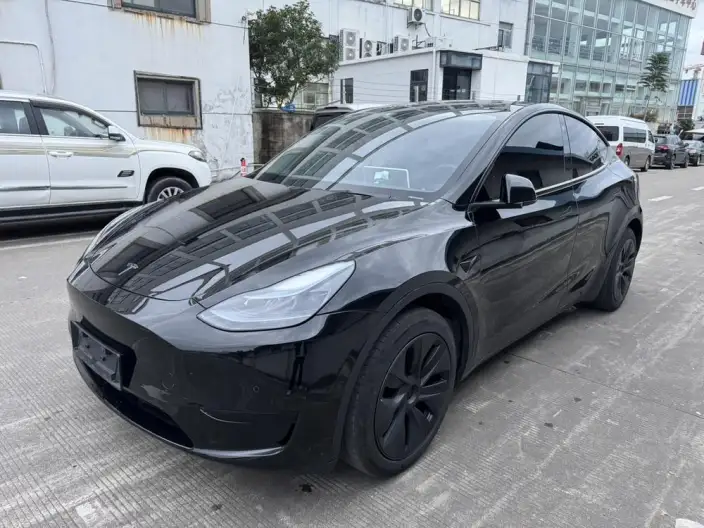 Model Y 2023 Model Rear-wheel drive version – фото 1