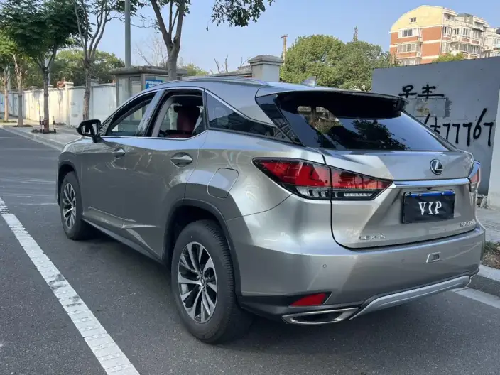Lexus RX 2020 Model Facelift 300 2WD Elite Edition – фото 5