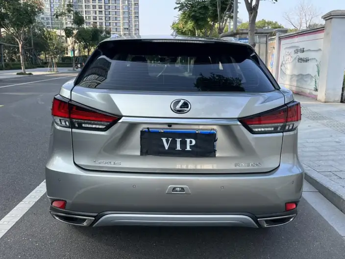 Lexus RX 2020 Model Facelift 300 2WD Elite Edition – фото 6