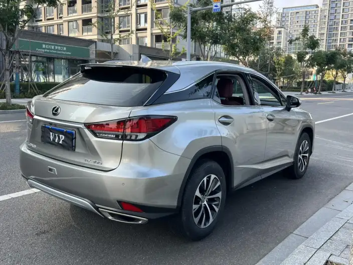 Lexus RX 2020 Model Facelift 300 2WD Elite Edition – фото 7