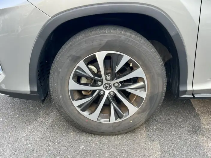 Lexus RX 2020 Model Facelift 300 2WD Elite Edition – фото 9