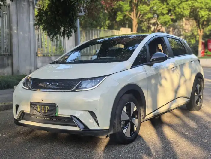BYD Dolphin 2023 Model Fashion Edition – фото 1