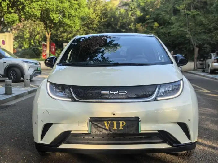 BYD Dolphin 2023 Model Fashion Edition – фото 2