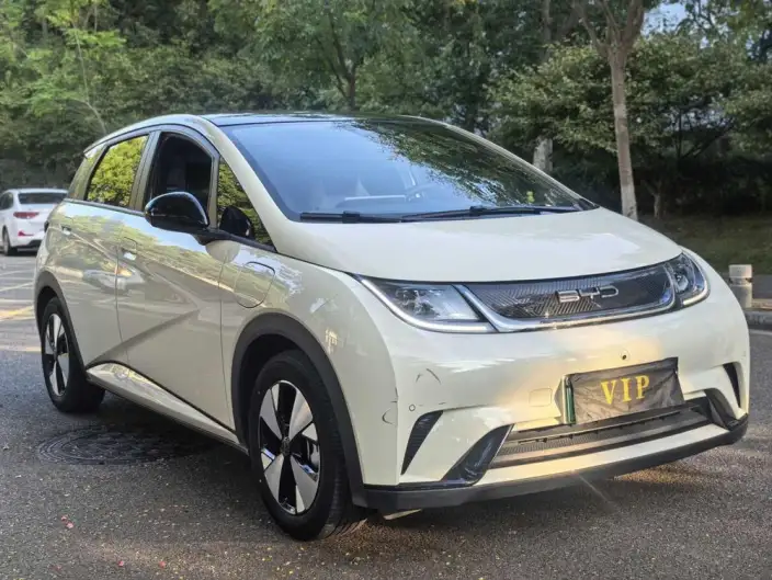 BYD Dolphin 2023 Model Fashion Edition – фото 3