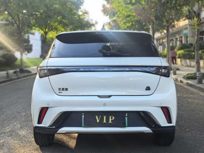BYD Dolphin 2023 Model Fashion Edition – фото 6
