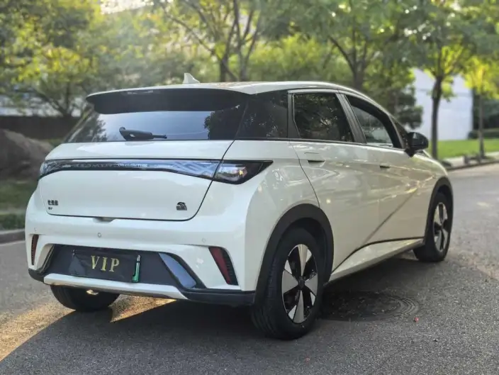 BYD Dolphin 2023 Model Fashion Edition – фото 7