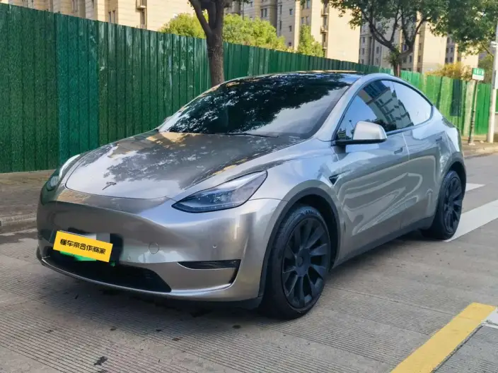 Model Y 2021 Model Standard Battery Life Rear-wheel drive version – фото 1