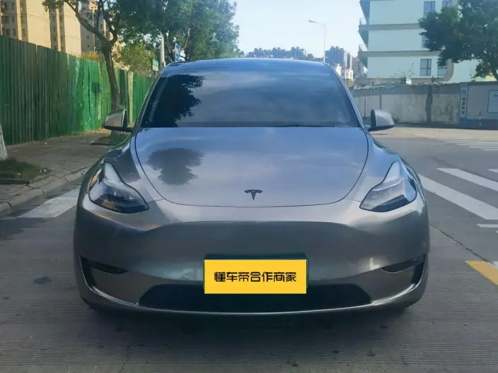 Model Y 2021 Model Standard Battery Life Rear-wheel drive version – фото 2