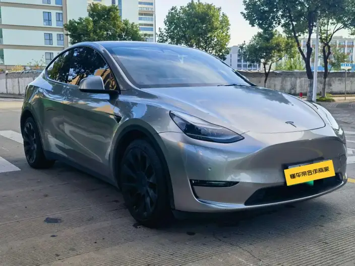 Model Y 2021 Model Standard Battery Life Rear-wheel drive version – фото 3