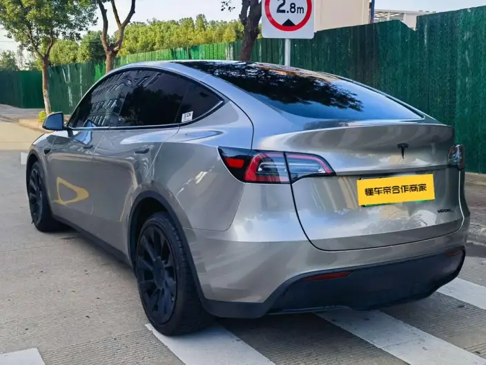 Model Y 2021 Model Standard Battery Life Rear-wheel drive version – фото 4