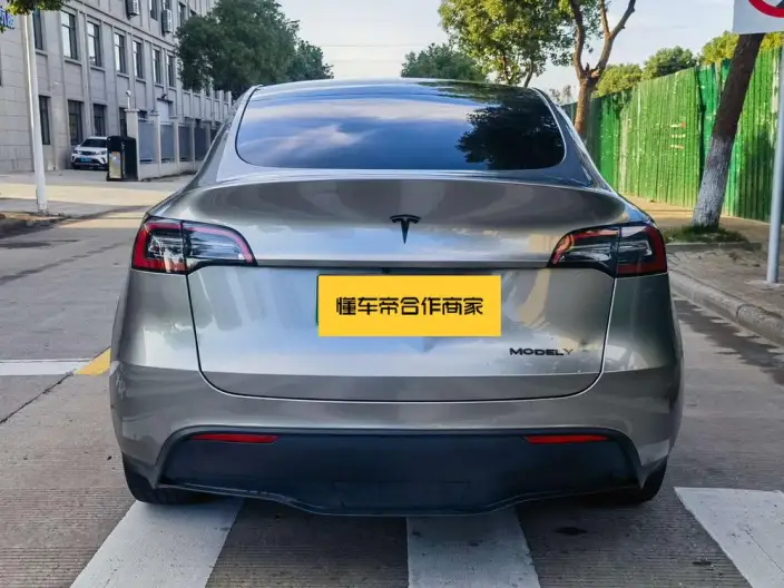 Model Y 2021 Model Standard Battery Life Rear-wheel drive version – фото 5