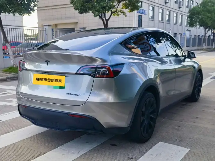Model Y 2021 Model Standard Battery Life Rear-wheel drive version – фото 6