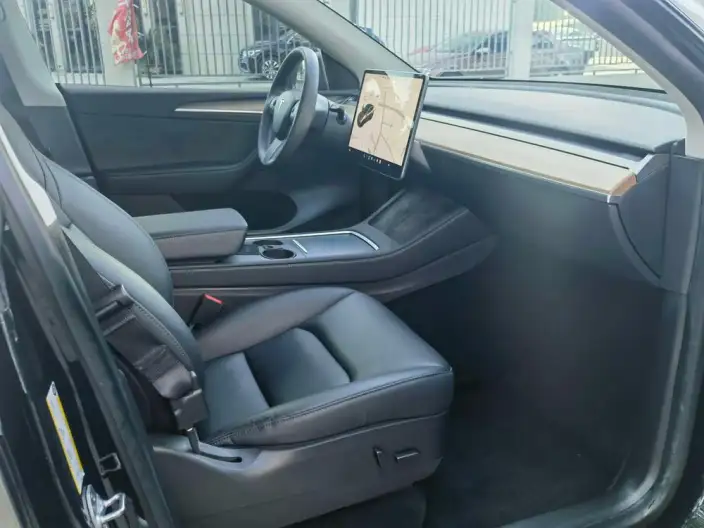 Model Y 2021 Model Standard Battery Life Rear-wheel drive version – фото 7