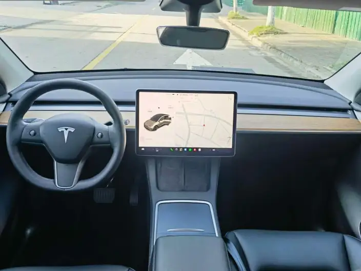 Model Y 2021 Model Standard Battery Life Rear-wheel drive version – фото 8