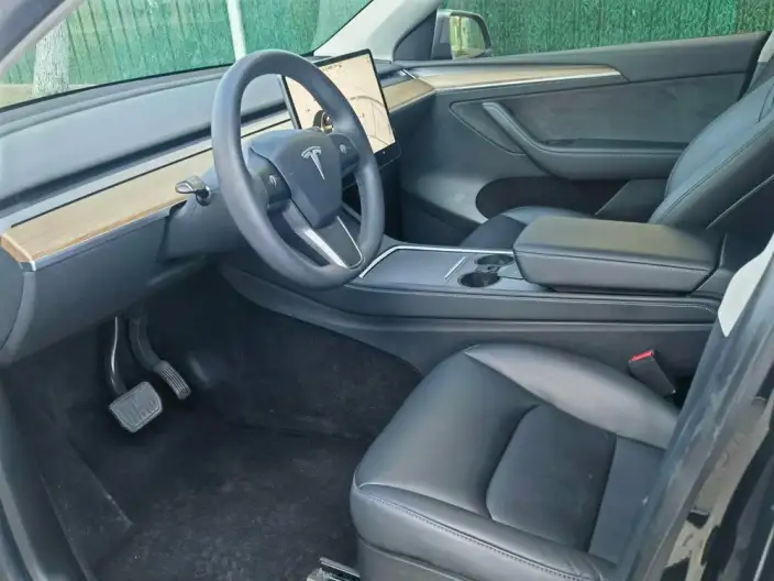 Model Y 2021 Model Standard Battery Life Rear-wheel drive version – фото 9