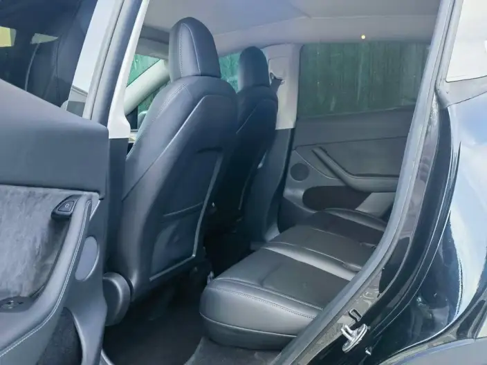 Model Y 2021 Model Standard Battery Life Rear-wheel drive version – фото 10