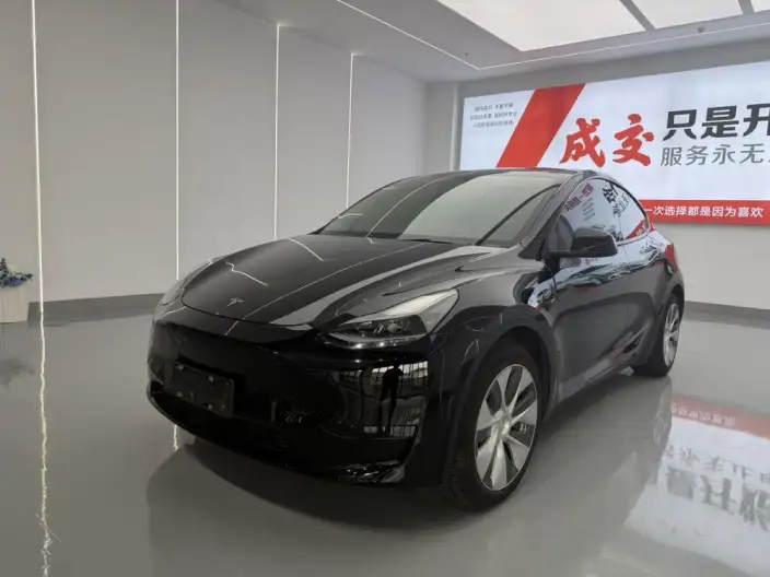 Model Y 2022 Model Facelift Rear-wheel drive version – фото 1