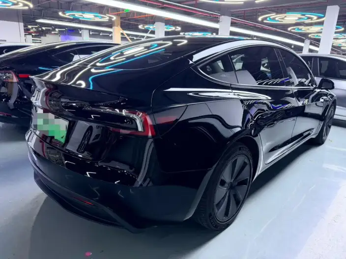 Model 3 2023 Model Rear-wheel drive version – фото 5