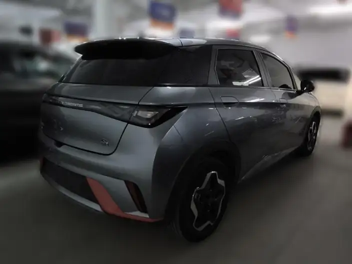 BYD Dolphin 2021 Model Fashion Edition – фото 4
