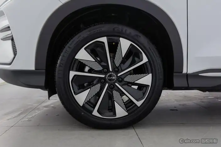 BYD Song PLUS DM 2025 Model DM-i 160KM Flagship Model – фото 10