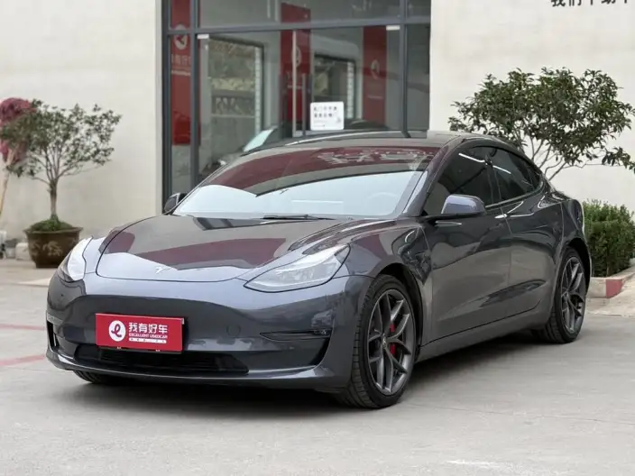 Model 3 2022 Model Performance High performance All-wheel drive version – фото 1