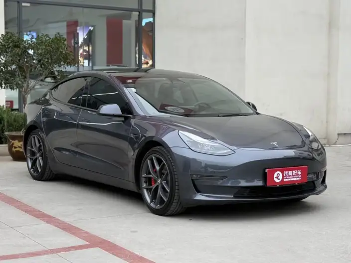 Model 3 2022 Model Performance High performance All-wheel drive version – фото 3