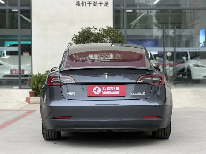 Model 3 2022 Model Performance High performance All-wheel drive version – фото 5