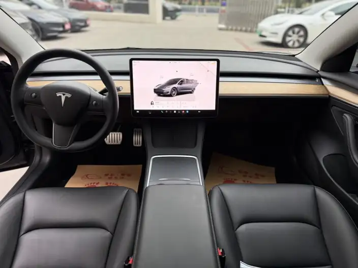 Model 3 2022 Model Performance High performance All-wheel drive version – фото 9