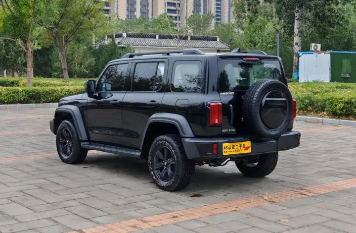 Tank 300 2024 Model 2.0T Challenger – фото 4