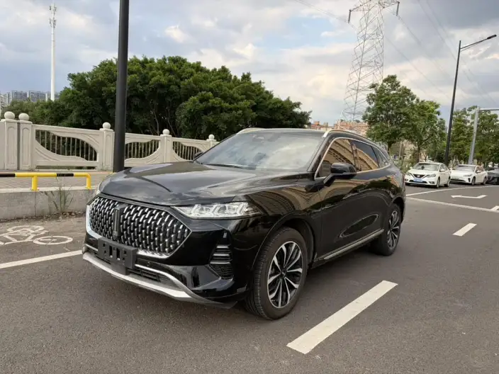 Mocha 2021 Model 2.0T 2WD Strong Edition