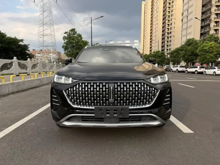 Mocha 2021 Model 2.0T 2WD Strong Edition