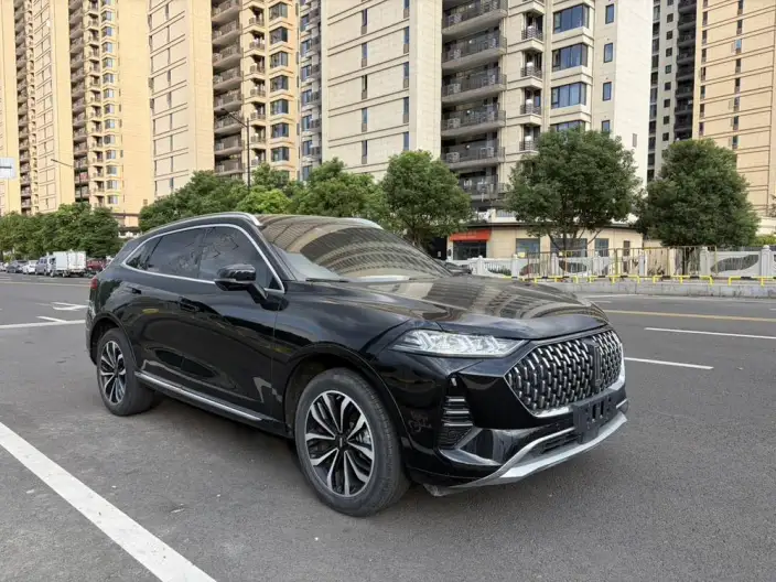 Mocha 2021 Model 2.0T 2WD Strong Edition