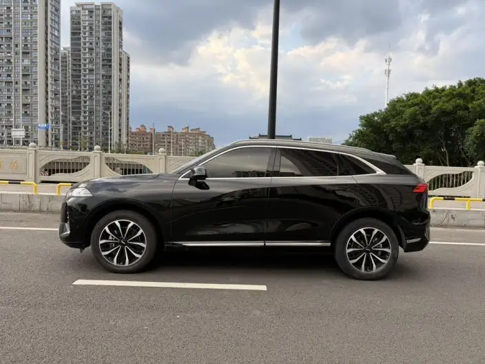 Mocha 2021 Model 2.0T 2WD Strong Edition