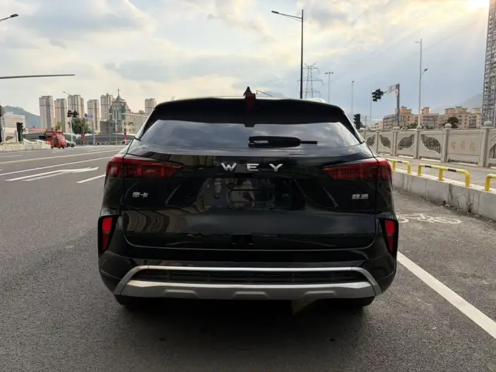 Mocha 2021 Model 2.0T 2WD Strong Edition – фото 6