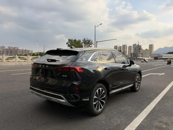 Mocha 2021 Model 2.0T 2WD Strong Edition – фото 7
