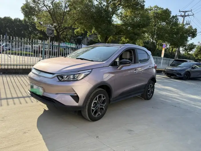 Yuan Pro 2023 Model 401KM Luxury Model – фото 1