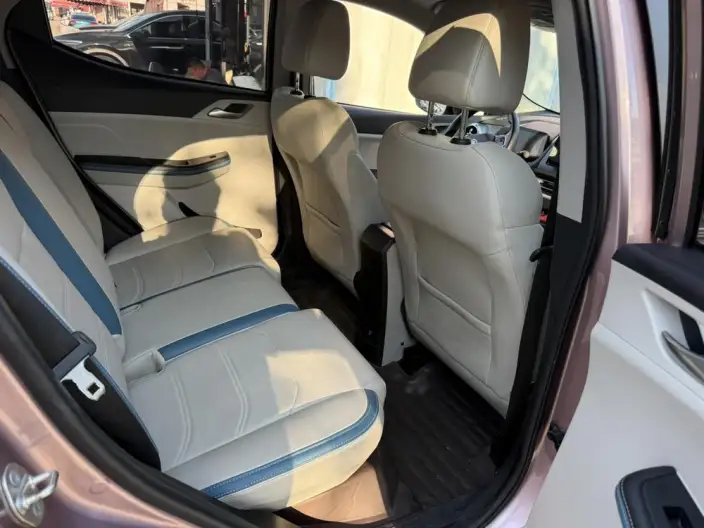 Yuan Pro 2023 Model 401KM Luxury Model – фото 9