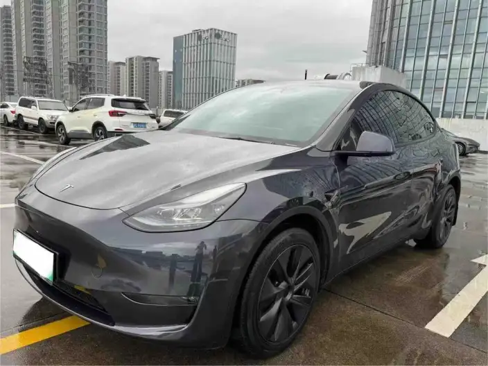 Model Y 2023 Model Long Battery Life Pro All-wheel drive version – фото 1