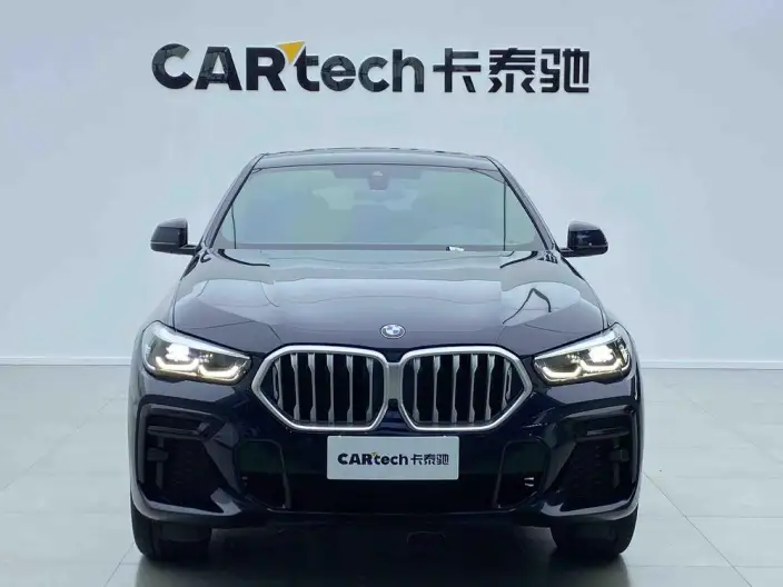 BMW X6 2022 Model xDrive30i M Sports Set – фото 2
