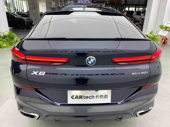 BMW X6 2022 Model xDrive30i M Sports Set – фото 3