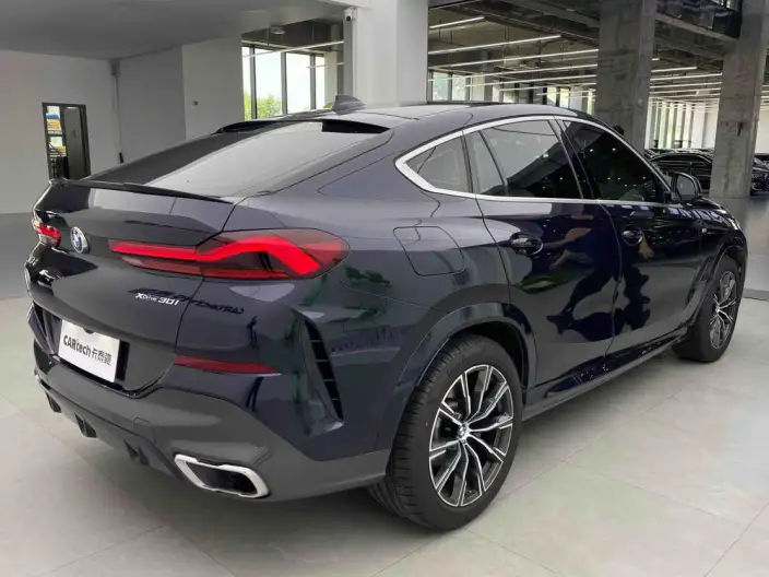 BMW X6 2022 Model xDrive30i M Sports Set – фото 4