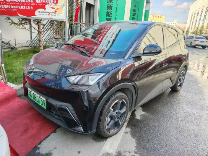 BYD Seagull 2023 Model Feixiang Edition – фото 1