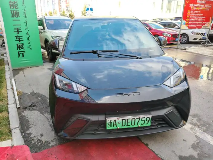 BYD Seagull 2023 Model Feixiang Edition – фото 2