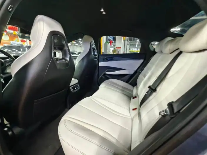 BYD Seal 06 DM 2024 Model DM-i 80KM Luxury Model – фото 9