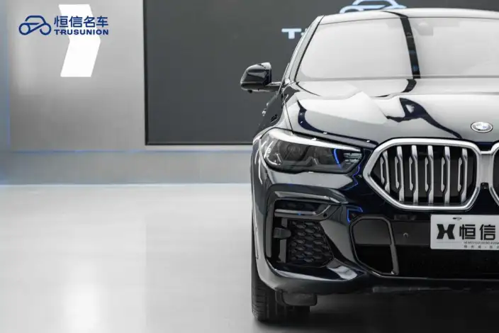 BMW X6 2022 Model Facelift xDrive30i M Sports Set – фото 10