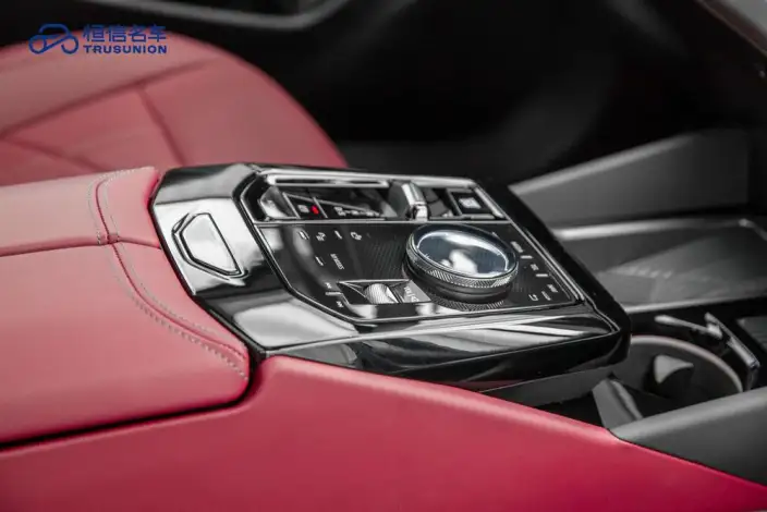 BMW 5 Series 2025 Model 530Li Leading Model M Sports Set – фото 10