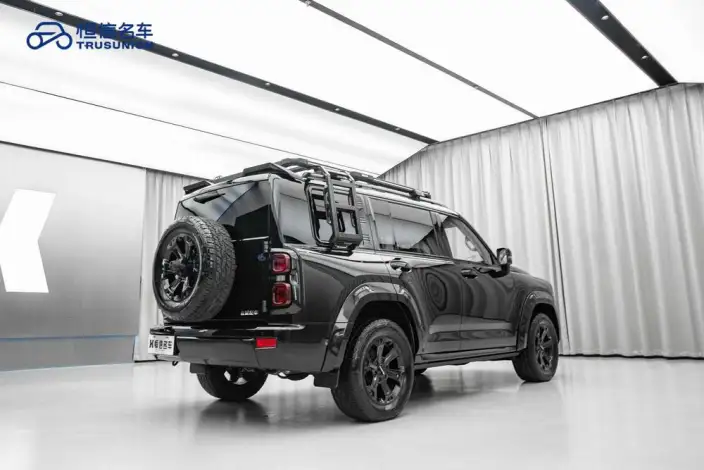 Haval H9 2025 Model 2.4T Diesel 4WD Yongshi Edition – фото 6