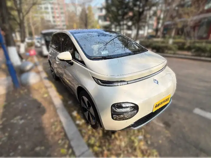 Yunduo 2023 Model 460 Max Spirit Edition