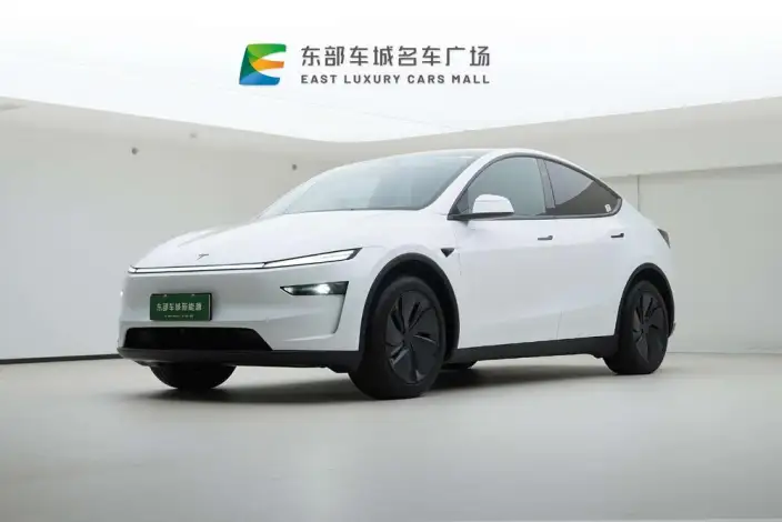 Model Y 2026 Model Rear-wheel drive version – фото 1