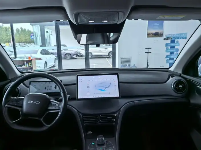 Haise 05DM 2025 Model Smart Driving Edition DM-i 75KM Luxury Model – фото 7